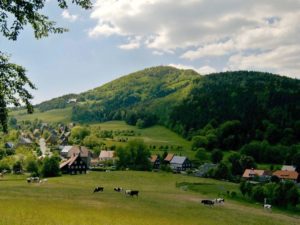 Lausche im Zittauer Gebirge