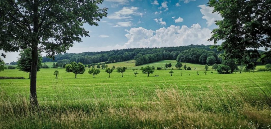 koenigshainer berge ansicht e1561626863140 koenigshainer berge ansicht e1561626863140