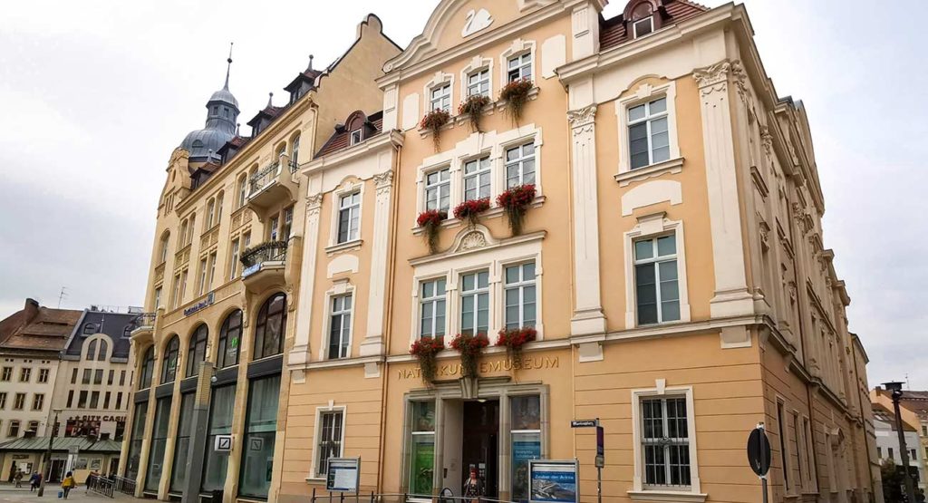 senckenberg museum goerlitz