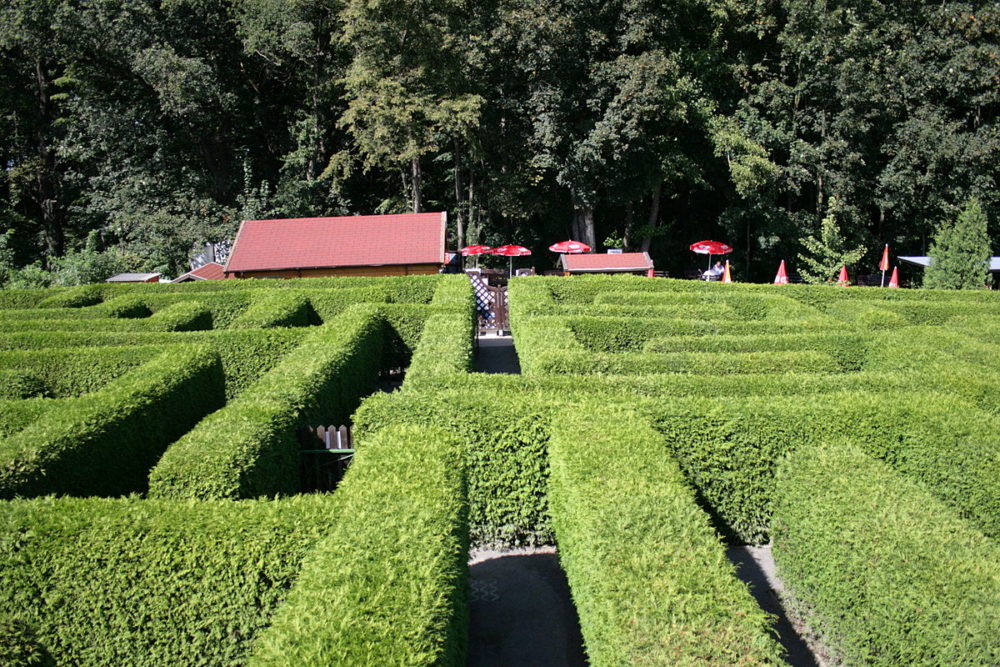 Irrgarten Kleinwelka
