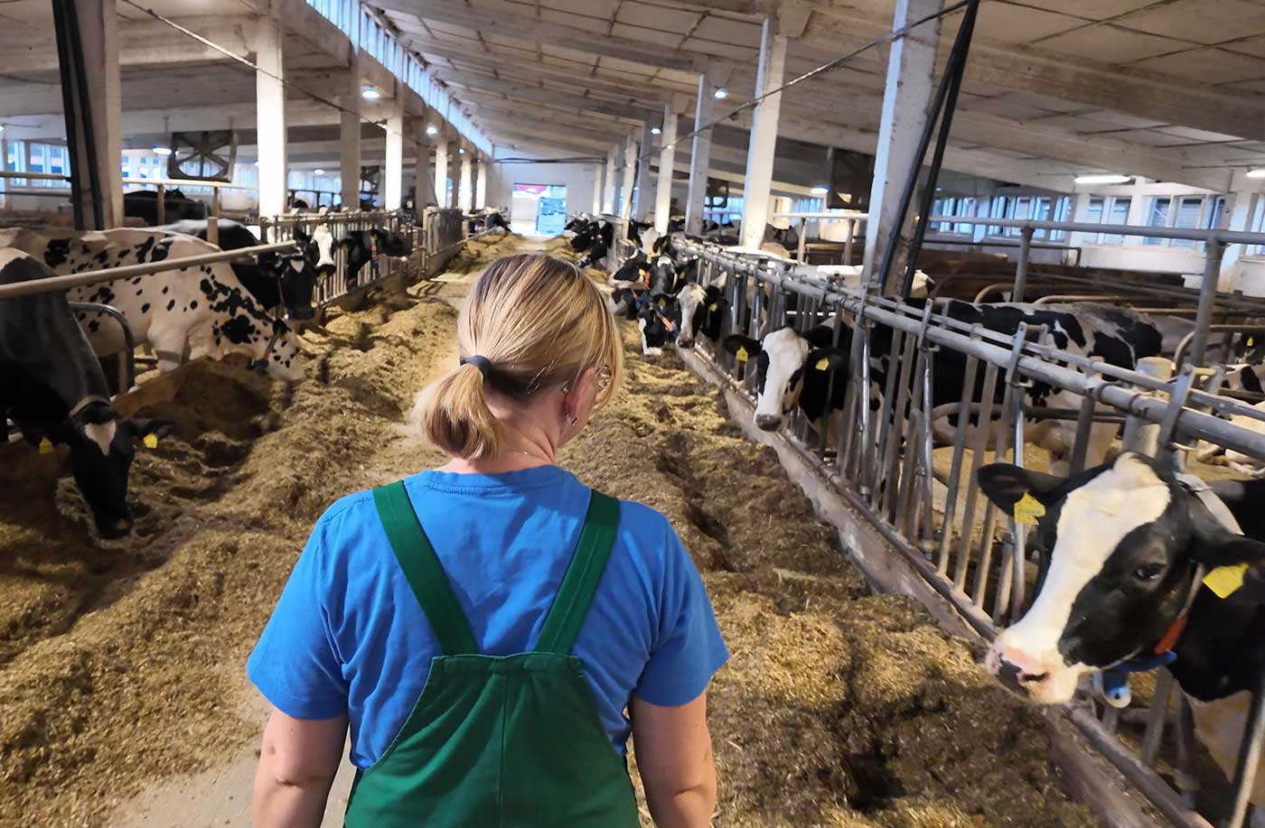 Agrargenossenschaft See bei Niesky – Über die Arbeit mit Kühen & Kälbern
