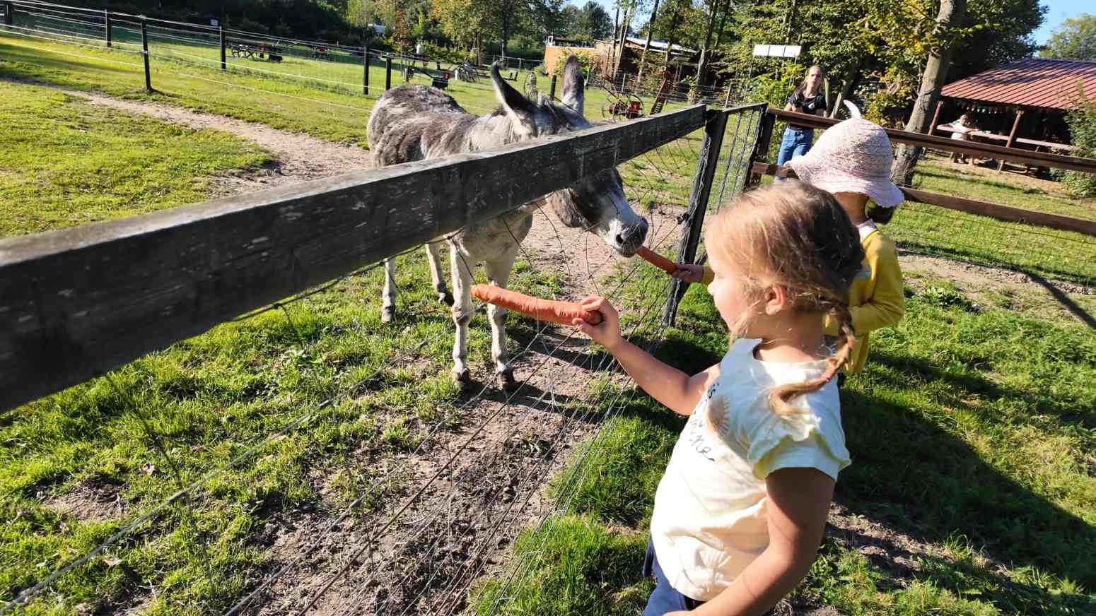 Freizeit- und Campingpark Thräna 🦌 mit Gaudi-Golf