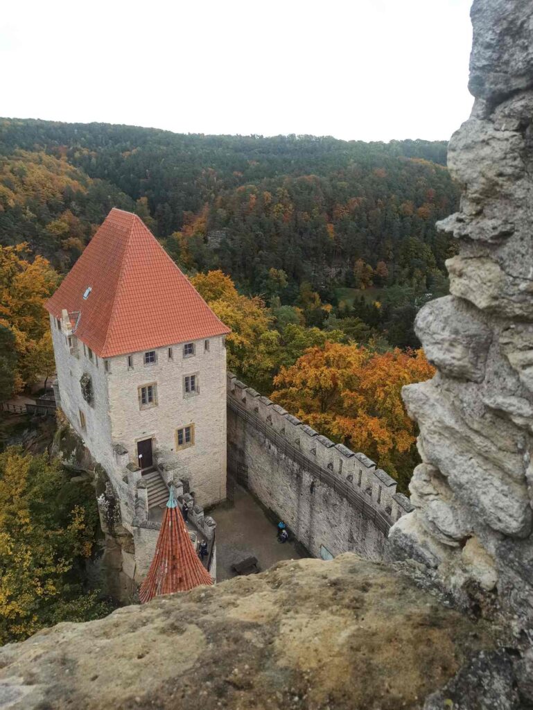 Kokorin 9 9 Kokorin 9 9