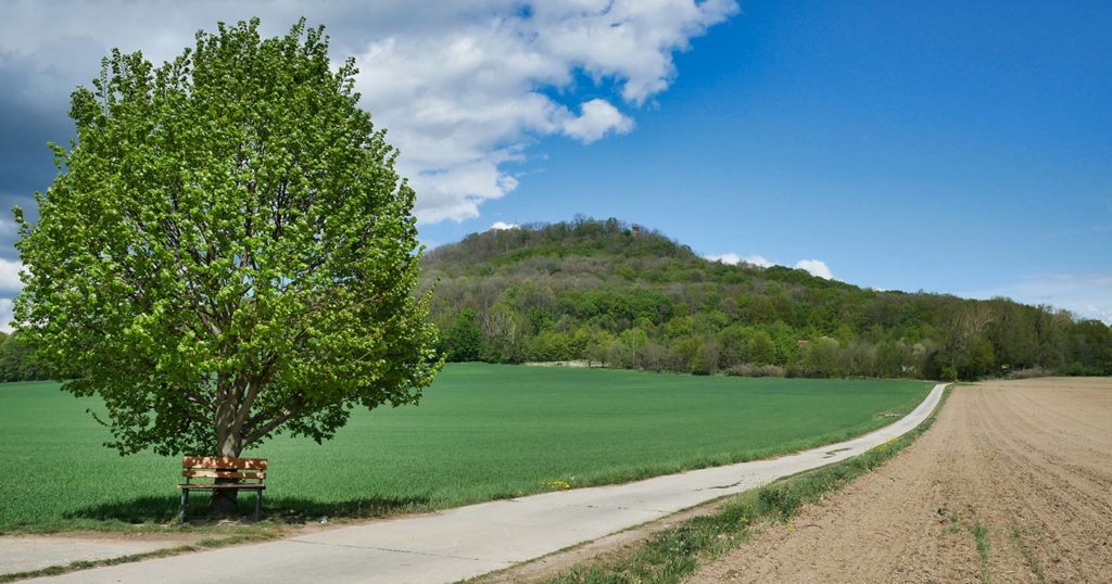 Landeskrone Aufstieg aus Kunnerwitz Landeskrone Aufstieg aus Kunnerwitz