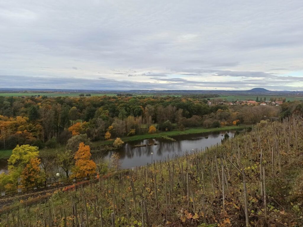 Melnik 6 29 Melnik 6 29