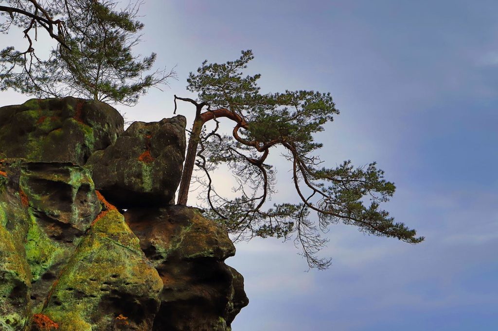 Toepfer Berg Zittauer Gebirge 0 1