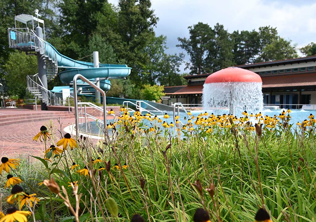 Waldbad Niessky2 Waldbad Niessky2