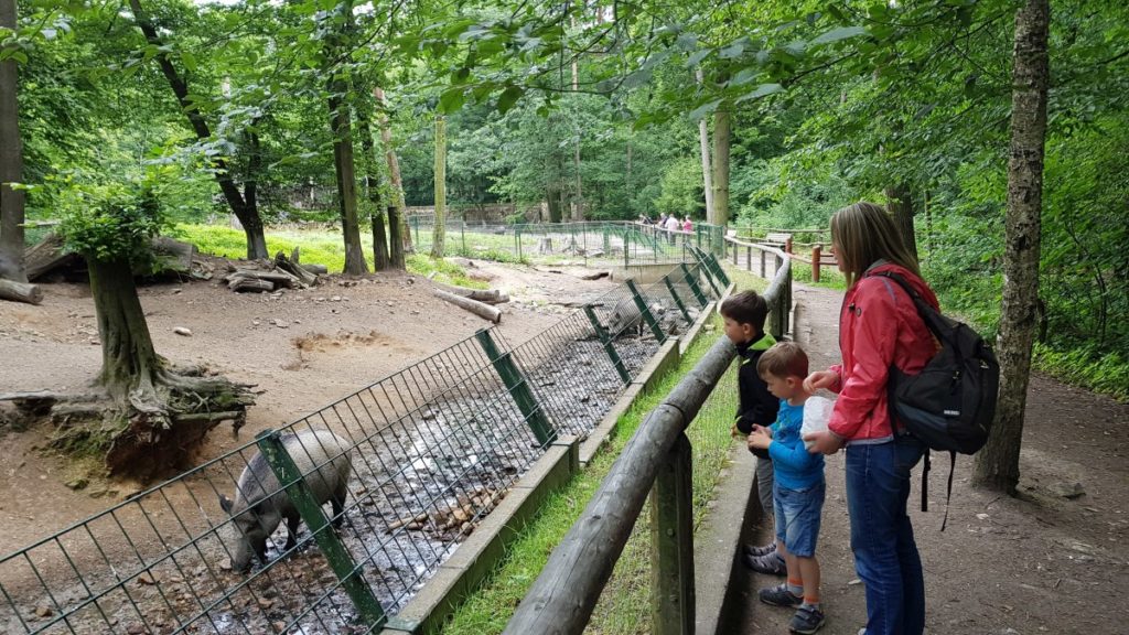 Wildgehege Moritzburg