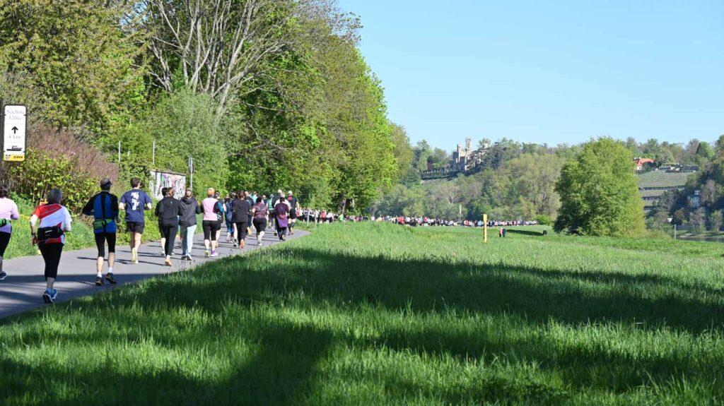 dresden oberelbe marathon 10 dresden oberelbe marathon 10