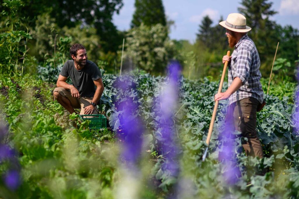 nachhaltige gastro obermuehle goerlitz nachhaltige gastro obermuehle goerlitz