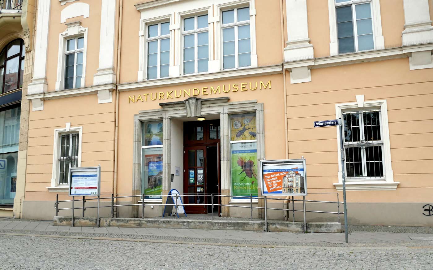 senckenbergmuseum